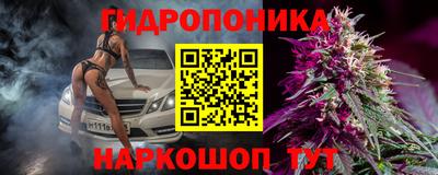 крисы Севастополь