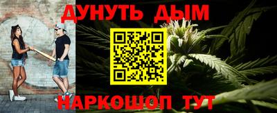 крисы Севастополь