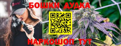 крисы Севастополь