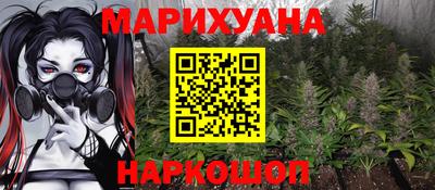 крисы Севастополь