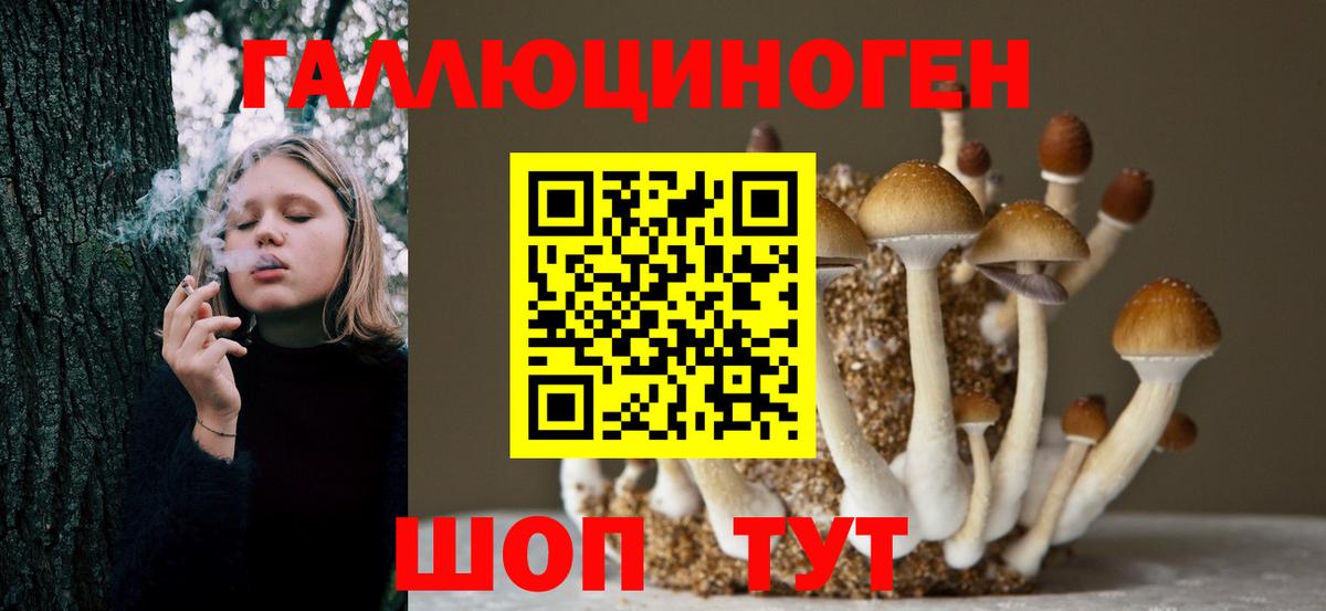 Галлюциногенные грибы Psilocybine cubensis  Псилоцибиновые грибы мицелий  Дальнереченск  Вход с VPN 