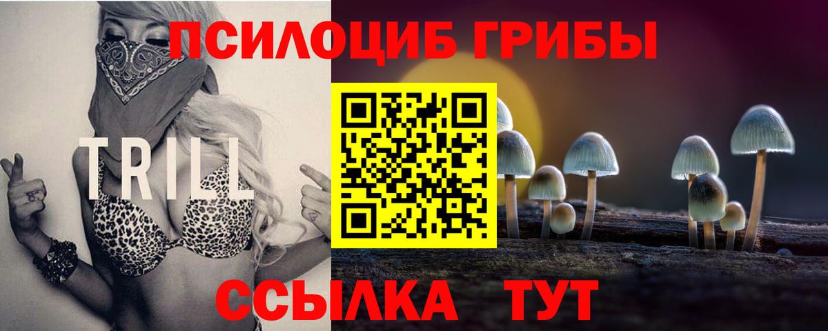 Псилоцибиновые грибы ЛСД Дальнереченск